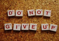 101+ Never Give Up Quotes for Whatsapp - Success Quotes