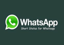105 Best Whatsapp Status For Life - Whatsapp Status Quotes